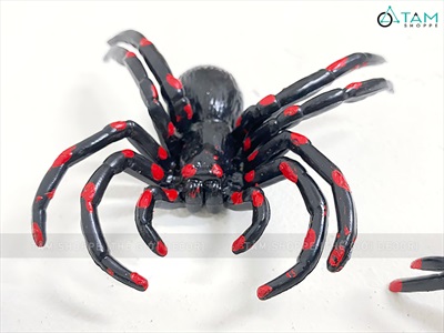 Set 03 con nhện độc đốm đỏ ĐK8.5cm TCV-NHEN-06