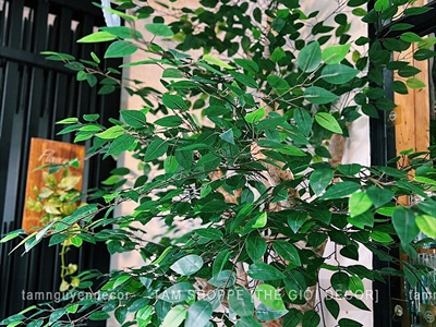 Bó nhiều cành lá si giả làm cây xanh đẹp như thật [2 loại - Bó 3/10/12 cành] CANHLA-04