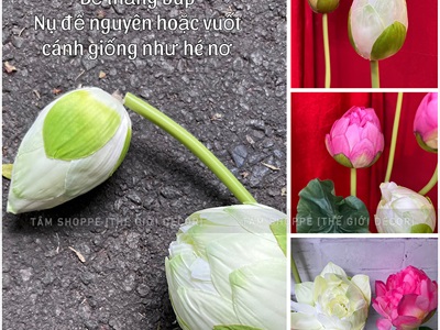 Cành sen dài thân dẻo cao 140cm [Loại đẹp - dễ uốn] CANHHOA-09