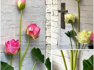 Cành sen dài thân dẻo cao 140cm [Loại đẹp - dễ uốn] CANHHOA-09