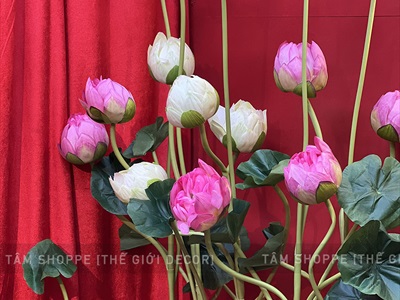 Cành sen dài thân dẻo cao 140cm [Loại đẹp - dễ uốn] CANHHOA-09