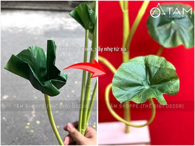Cành sen dài thân dẻo cao 140cm [Loại đẹp - dễ uốn] CANHHOA-09