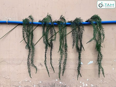 Cành lá thông rũ lá nhuyễn [Màu sậm - Dài 145cm] CANHLA-07