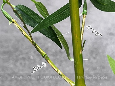 Cành lá tre giả cao150cm [Tự nhiên - Mảnh khảnh] CANHLA-09