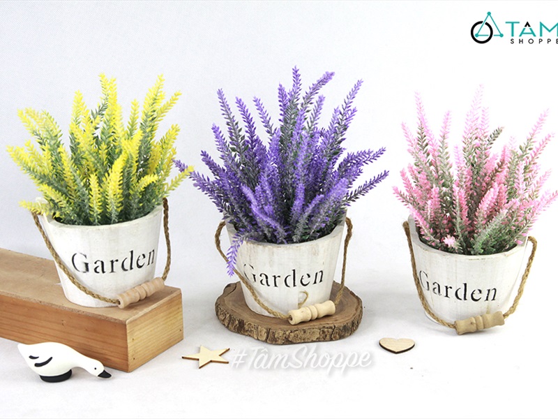 Chậu hoa Lavender để bàn xô gỗ Garden CHAUHOACS-03