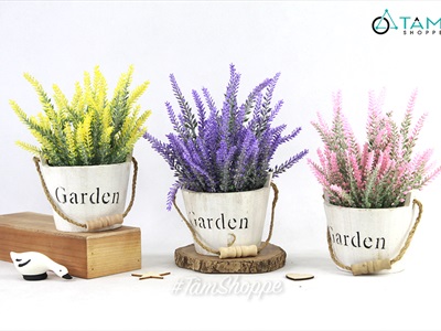 Chậu hoa Lavender để bàn xô gỗ Garden CHAUHOATTS-LVD-02