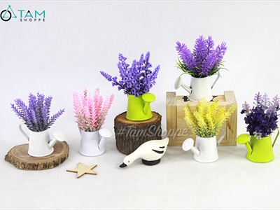 Chậu hoa mini để bàn bình tưới Lavender nhiều kiểu CHAUHOATTS-LVD-01
