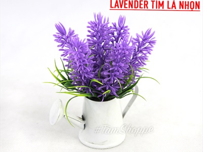 Chậu hoa mini để bàn bình tưới Lavender nhiều kiểu CHAUHOATTS-02