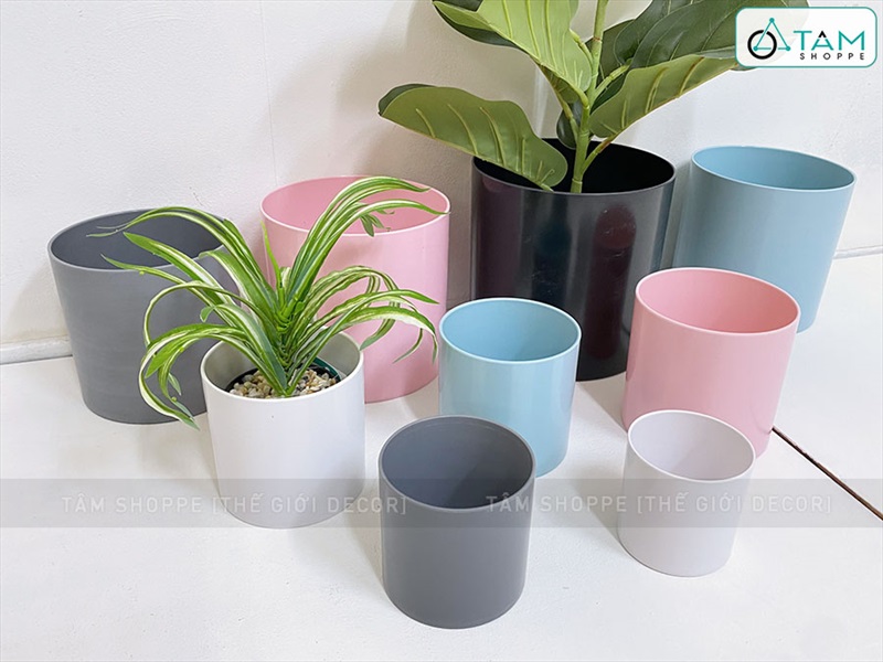 Chậu nhựa trồng cây trụ tròn màu pastel [Có lỗ thoát nước/ Nhiều cỡ] CHAUTRONGCAY-03
