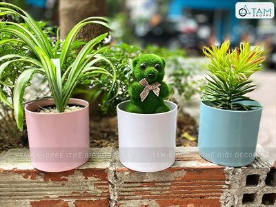 Chậu nhựa trồng cây trụ tròn màu pastel [Có lỗ thoát nước/ Nhiều cỡ] CHAUTRONGCAY-03