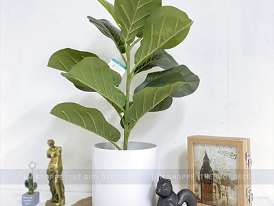 Chậu nhựa trồng cây trụ tròn màu pastel [Có lỗ thoát nước/ Nhiều cỡ] CHAUTRONGCAY-03