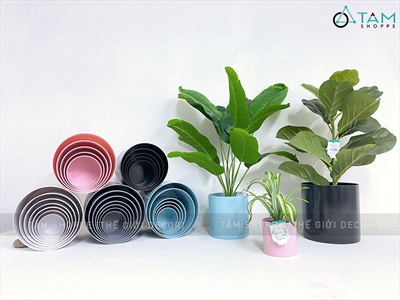 Chậu nhựa trồng cây trụ tròn màu pastel [Có lỗ thoát nước/ Nhiều cỡ] CHAUTRONGCAY-03