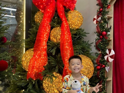 [ORDER 3-5 NGÀY] Nơ vải nhung voan siêu đèn Led [70x150cm - Cắm điện] PK-NO-05