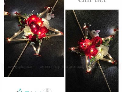 Lồng đèn sao hoa cầm tay Hottrend có đèn Led [2 cỡ/ 6 màu] LONGDEN-006