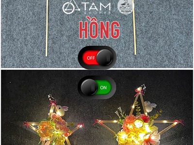 Lồng đèn sao hoa cầm tay Hottrend có đèn Led [2 cỡ/ 6 màu] LONGDEN-006