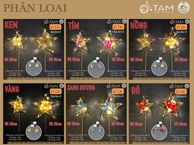Lồng đèn sao hoa cầm tay Hottrend có đèn Led [2 cỡ/ 6 màu] LONGDEN-006