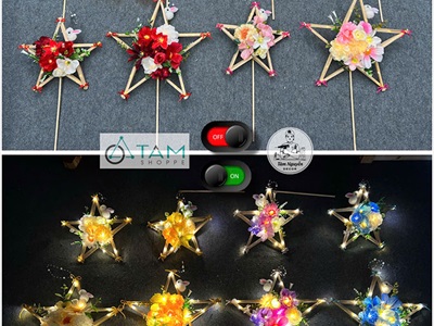 Lồng đèn sao hoa cầm tay Hottrend có đèn Led [2 cỡ/ 6 màu] LONGDEN-006