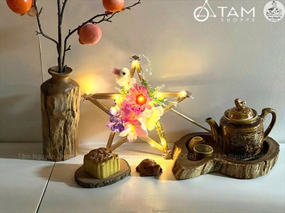 Lồng đèn sao hoa cầm tay Hottrend có đèn Led [2 cỡ/ 6 màu] LONGDEN-006