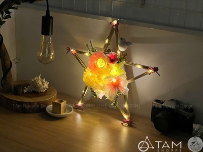 Lồng đèn sao hoa cầm tay Hottrend có đèn Led [2 cỡ/ 6 màu] LONGDEN-006