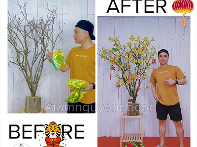 Đôn cây tự nhiên gắn bụi cây trang trí [Cao 1,8m-2m/ Nhiều loại cành] BUICAY-02