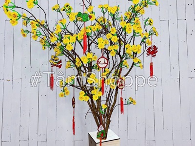 Đôn gỗ gắn bụi cây khô trang trí [Cao 1m2-1m3/ Nhiều loại cành] BUICAY-01