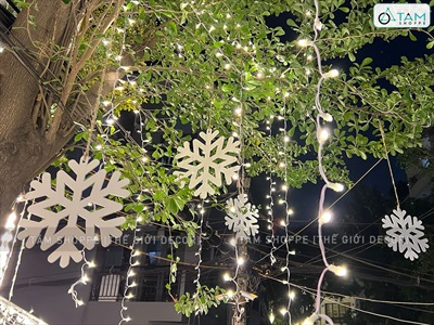 Bông tuyết trắng bằng gỗ trang trí [ĐK10/20/30cm - Có lỗ xỏ dây] BONGTUYET-02