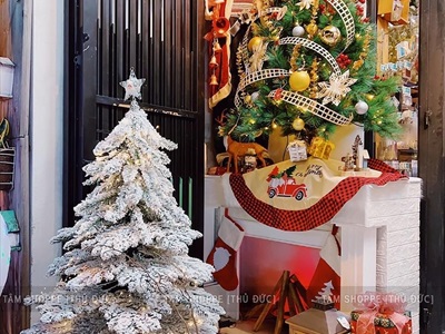 Cây thông Noel lá rũ Bắc Âu phủ tuyết [Nhiều cỡ từ 1.5-2.4m] X-TREE-42