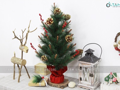 Cây thông Noel nhỏ để bàn lá xanh cao 60cm X-TREE-04