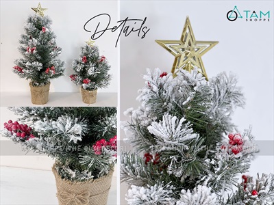 Cây thông Noel nhỏ để bàn phủ tuyết [Nhiều kiểu - Cao 45-60cm] X-TREE-03