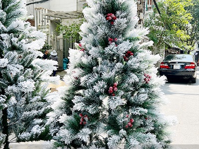 Cây thông Noel phủ tuyết cước 2 loại lá gắn trái đỏ cao 180cm X-TREE-40