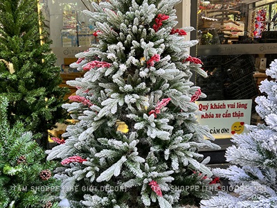Cây thông Noel phủ tuyết lá PE gắn chùm đỏ liti cao từ 150-200cm X-TREE-39