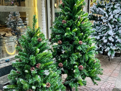 Cây thông Noel xanh 3 loại lá gắn trái thông cao từ 120-300cm X-TREE-15