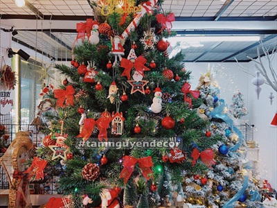 Cây thông Noel xanh 3 loại lá gắn trái thông [Cao 1m2-4m5] X-TREE-15