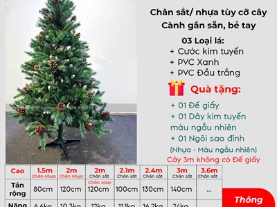 Cây thông Noel xanh 3 loại lá gắn trái thông [Cao 1m2-4m5] X-TREE-15