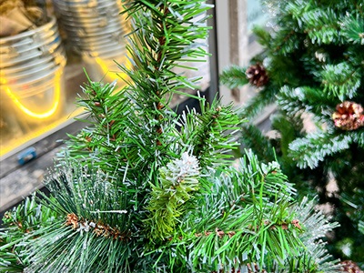 Cây thông Noel xanh 3 loại lá gắn trái thông cao từ 120-300cm X-TREE-15