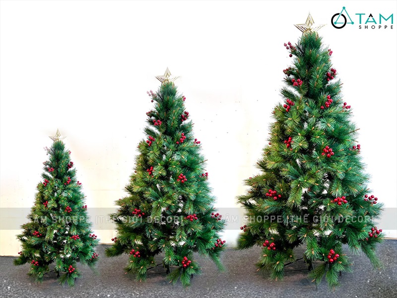 Cây thông Noel xanh cước đầu vàng trái đỏ [Nhiều cỡ từ 1.5-2.4m] X-TREE-43