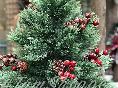 Cây thông Noel xanh cước đầu xòe gắn trái đỏ cao từ 180-240cm X-TREE-18