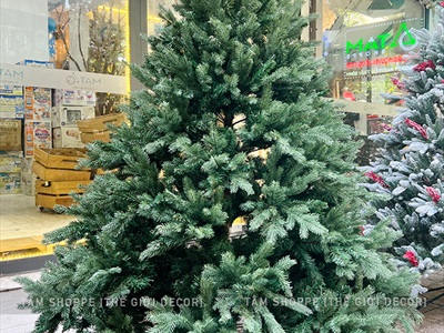 Cây thông Noel xanh lá PE tự động y như lá thật cao từ 180-300cm X-TREE-19