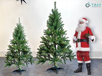 Cây thông Noel xanh trơn 1 loại lá đầu tròn [Cao 1m5-4m5] X-TREE-14