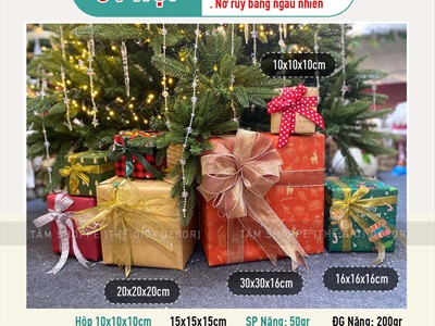 Hộp quà trang trí Noel nơ ruy băng vải xịn [Làm sẵn - Nhiều cỡ/màu] HOPQUA-01