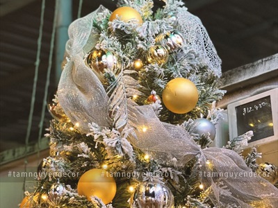 Trái châu Noel mờ đủ màu, đủ cỡ [Từ 4-16cm - Hàng chuẩn] TRAICHAU-34