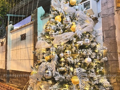 Trái châu Noel múi dọc đủ màu, đủ cỡ [ĐK 4-10cm - bắt sáng] TRAICHAU-37