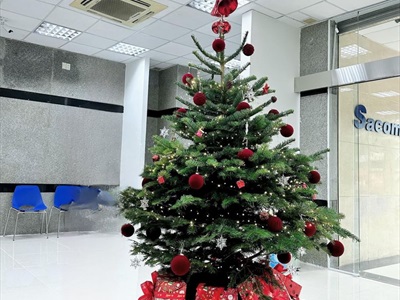 Trái châu Noel phun nhung đỏ nhiều cỡ [Từ 4-16cm - xịn mịn] TRAICHAU-32