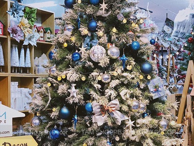 Trái châu Noel vân nổi 6 cạnh 2D [ĐK8/10cm - ánh kim] TRAICHAU-30