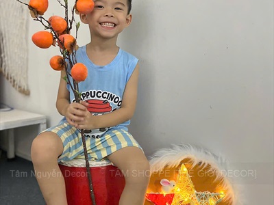 Lồng đèn gỗ tròn viền lông thú đèn led [ĐK30cm - chớp nháy/ đứng yên] LDEN-001