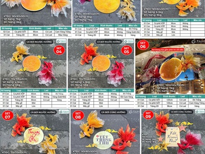 Set cá chép và trăng trang trí Trung thu - Tết [2025 - Tâm Nguyễn Decor] CC-TRUNGTHU-2505