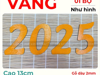 Số năm 2025 trang trí Tết [Thiết kế - Chuẩn đẹp] SO-GO-02