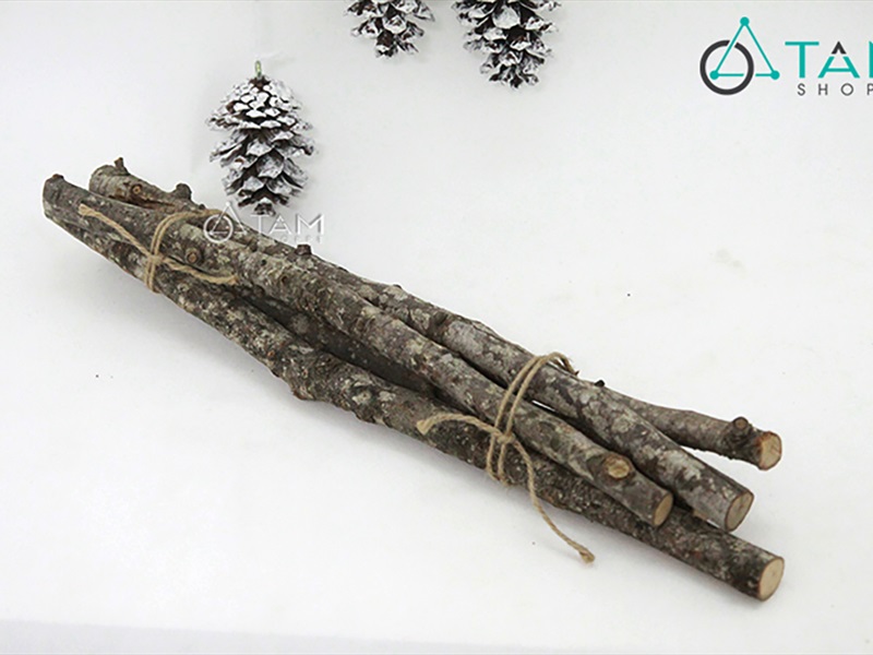 Bó 5 cành cây củi khô tự nhiên dài 40cm [Ngẫu nhiên - ĐK1-3cm] CAYCUI-03