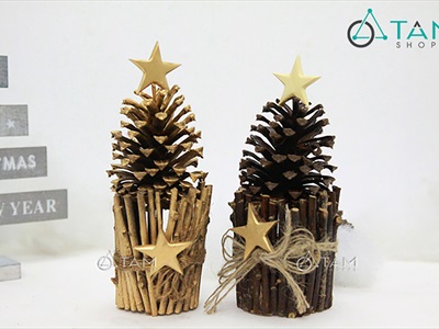 Bó 200gr que củi tự nhiên dài 13-15cm [ĐK1-1,5cm/ Ngẫu nhiên] CAYCUI-04