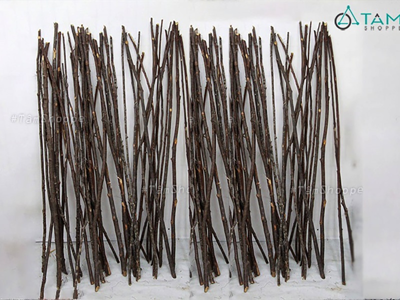 Cành cây củi decor thon dài 120-130cm [ĐK~1-2cm/ Ngẫu nhiên] CAYCUI-07